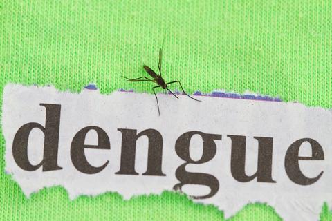 Dengue - quadro clinico e sinais de alerta
